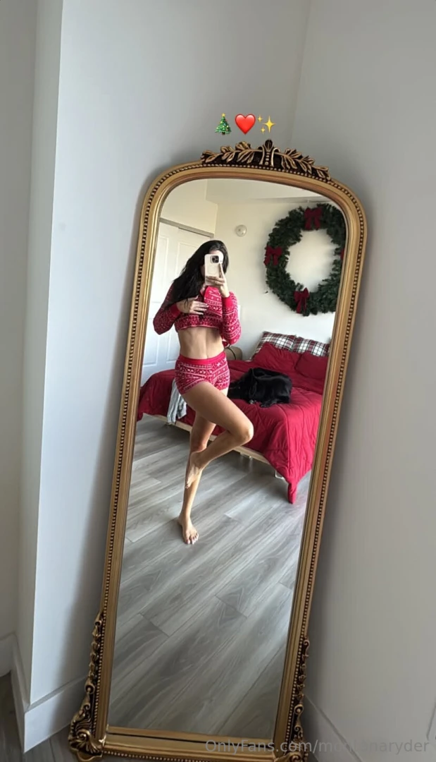 Merry christmas part 2789 