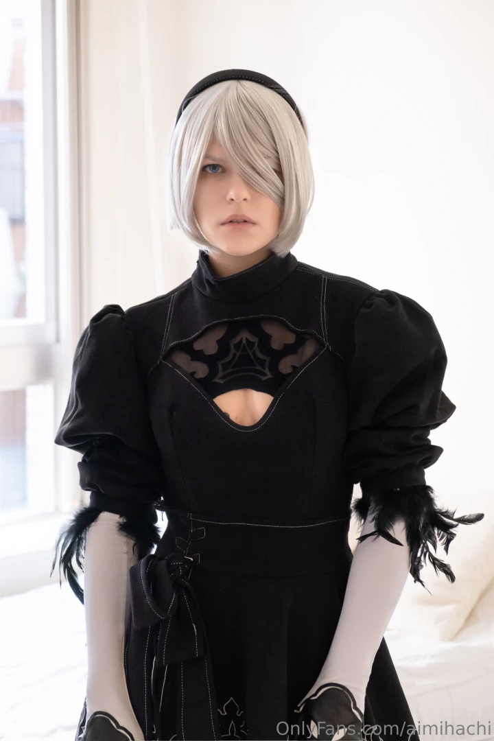 2b lewds album 