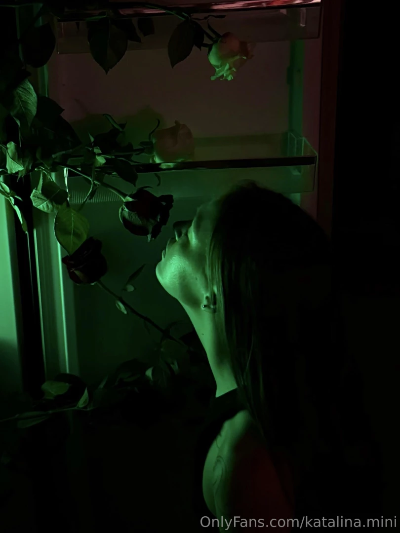 People are like roses we all start out as a small bud filled with 