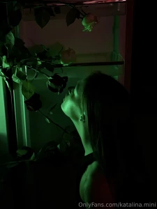 People are like roses we all start out as a small bud filled with