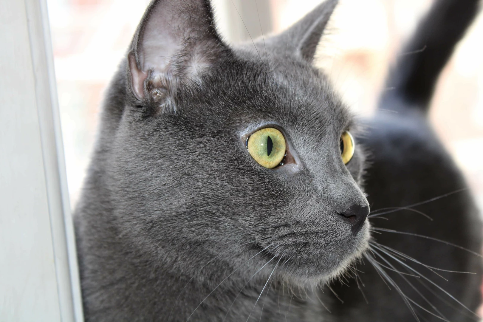 Hello there just wanted to wish you a wonderful wednesday also yes part 1 