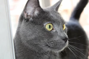 Hello there just wanted to wish you a wonderful wednesday also yes part 1