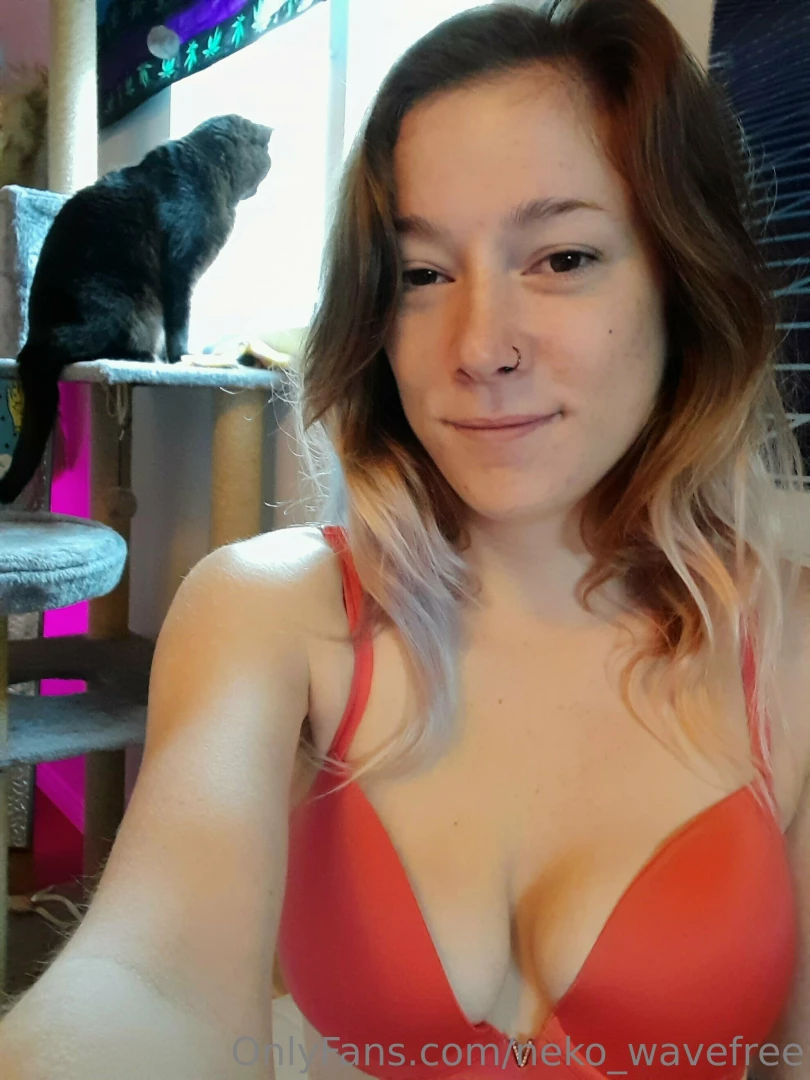 Good morning from your two favorite neko girlsss part 1 