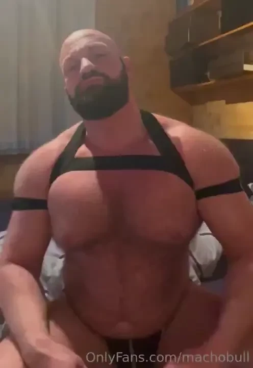 Machobull part 4 