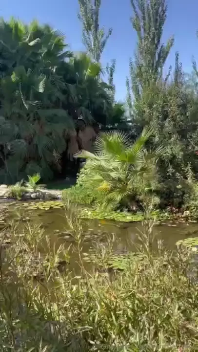 Are u ready for me and my dick in the backyard 