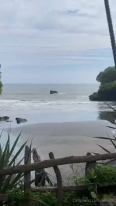 Lost in nature found in peace part 1