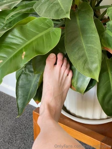 Some more branchy goodness do you like plants do you like feet come