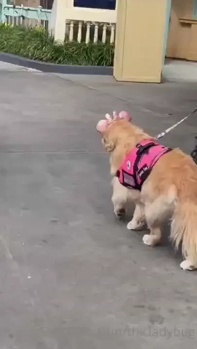 Just had to share my trip with y all also more pics coming taking part 1 