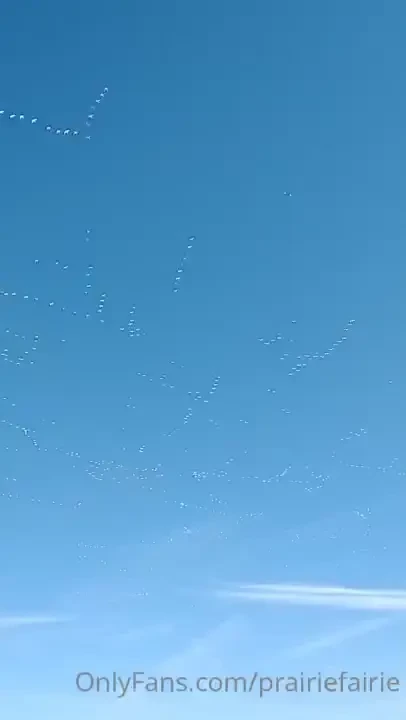 Feeling so much better i made it to work saturday night and then part 7 