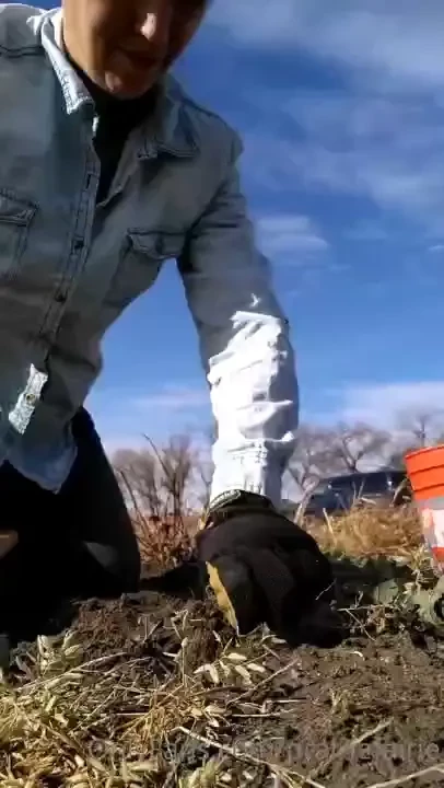 If there s one thing i m definitely not crazy about on the prairie it part 2 