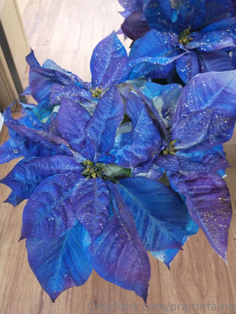 The best gifts don t have price tags did y all have a great holiday part 9 