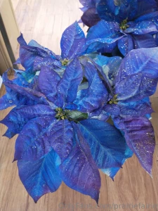 The best gifts don t have price tags did y all have a great holiday part 9