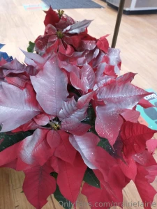 The best gifts don t have price tags did y all have a great holiday part 7