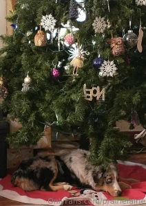 The best gifts don t have price tags did y all have a great holiday part 1