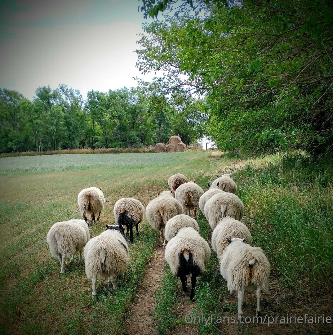 Such a difference two more weeks of drought make i m looking at these part 7 