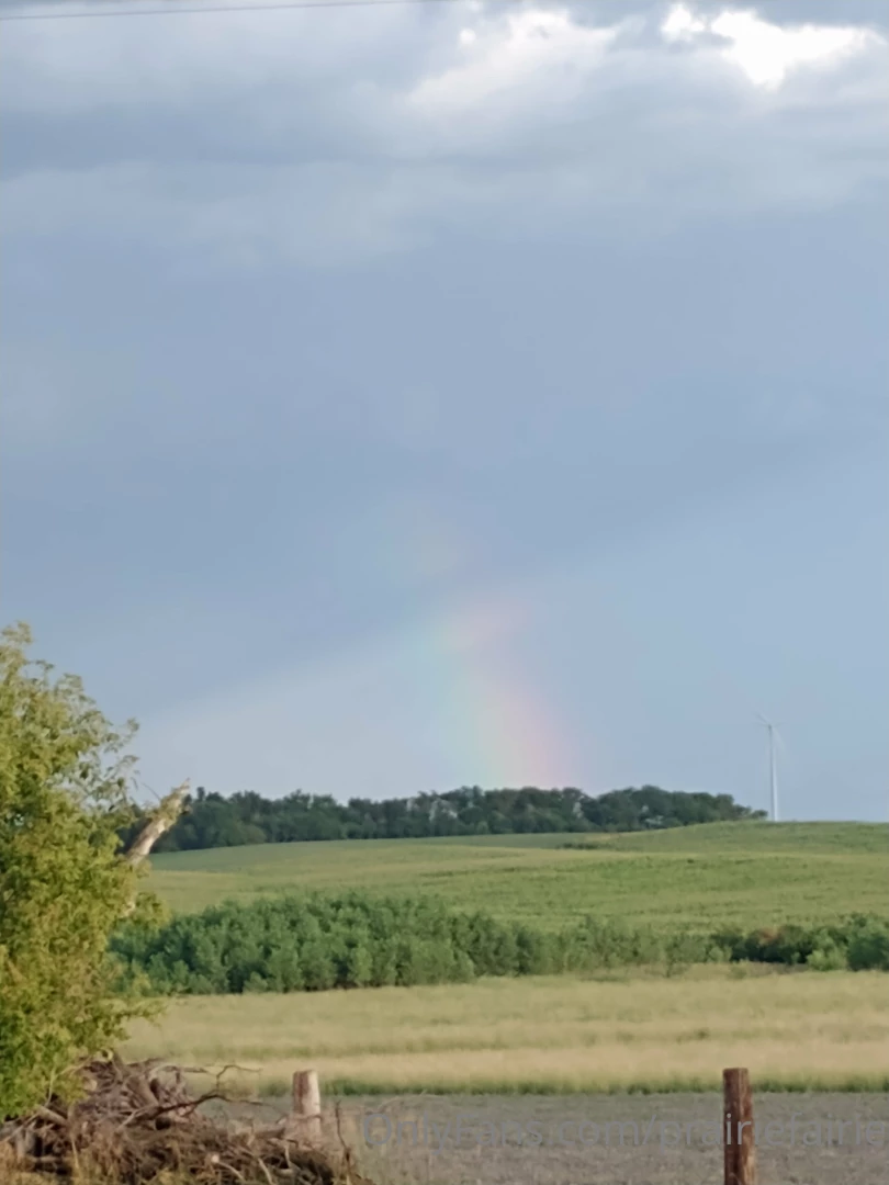 Such a difference two more weeks of drought make i m looking at these part 8 