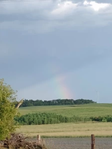 Such a difference two more weeks of drought make i m looking at these part 8