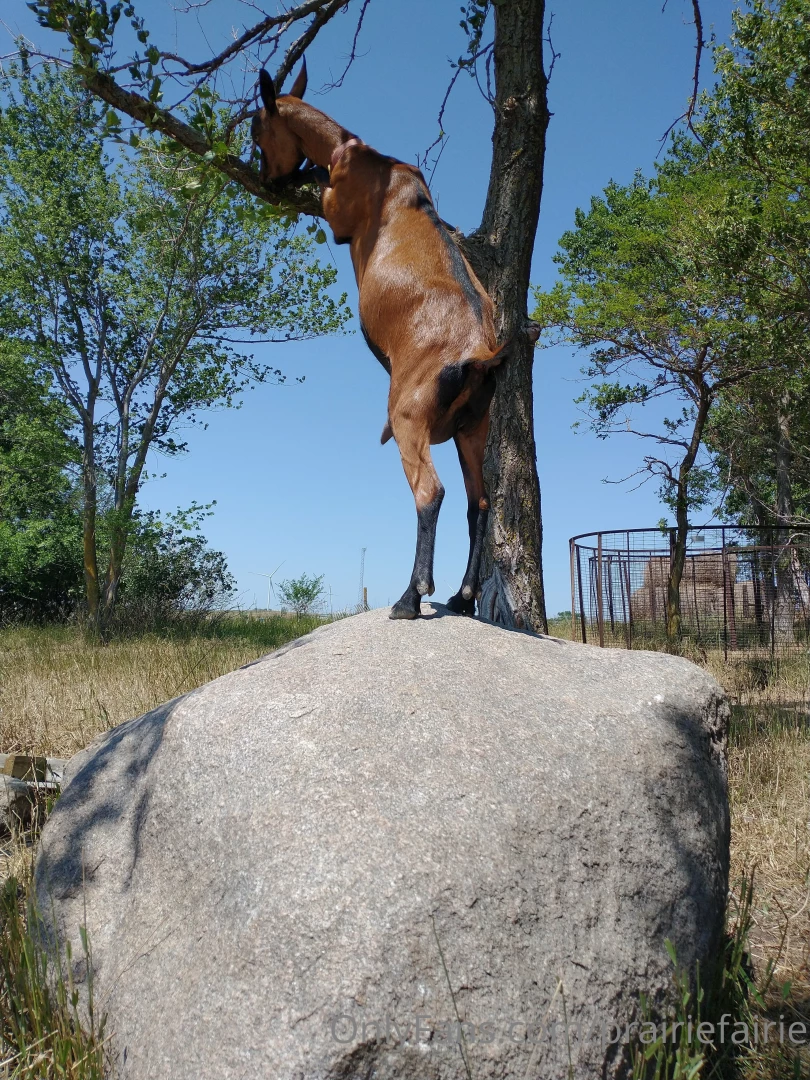 How is it august already i know i ve been slacking but in my defense i part 2 