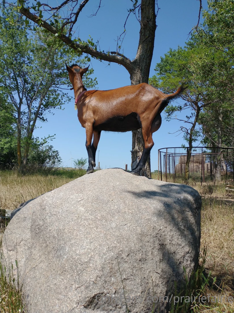 How is it august already i know i ve been slacking but in my defense i 