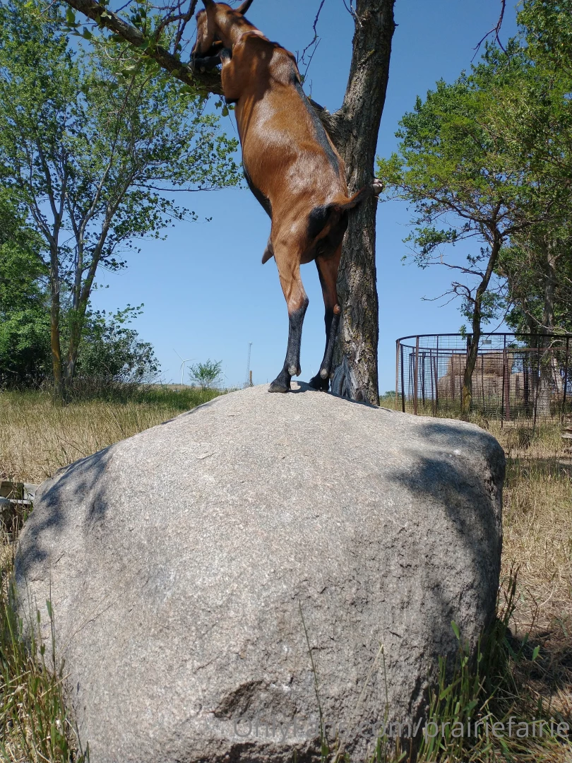 How is it august already i know i ve been slacking but in my defense i part 1 