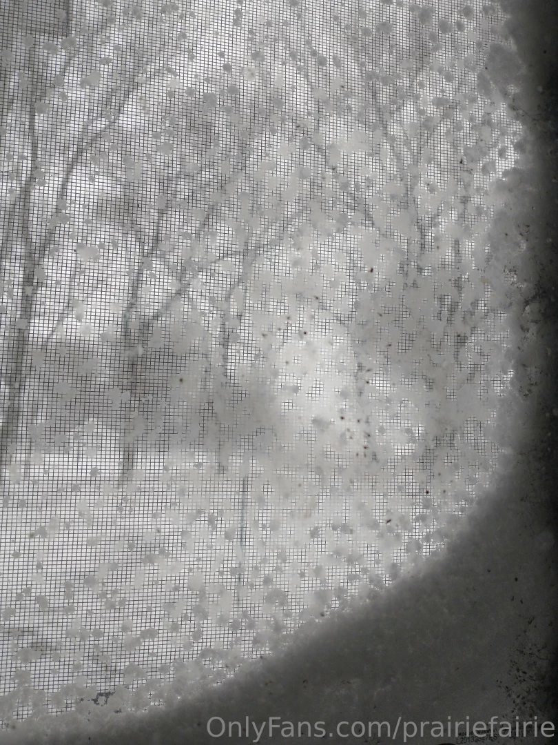 The view from my kitchen window after the latest ice snow storm rain part 3 
