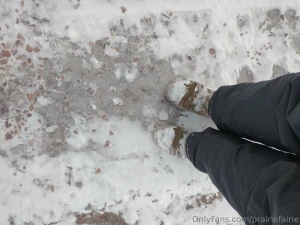 The view from my kitchen window after the latest ice snow storm rain part 1