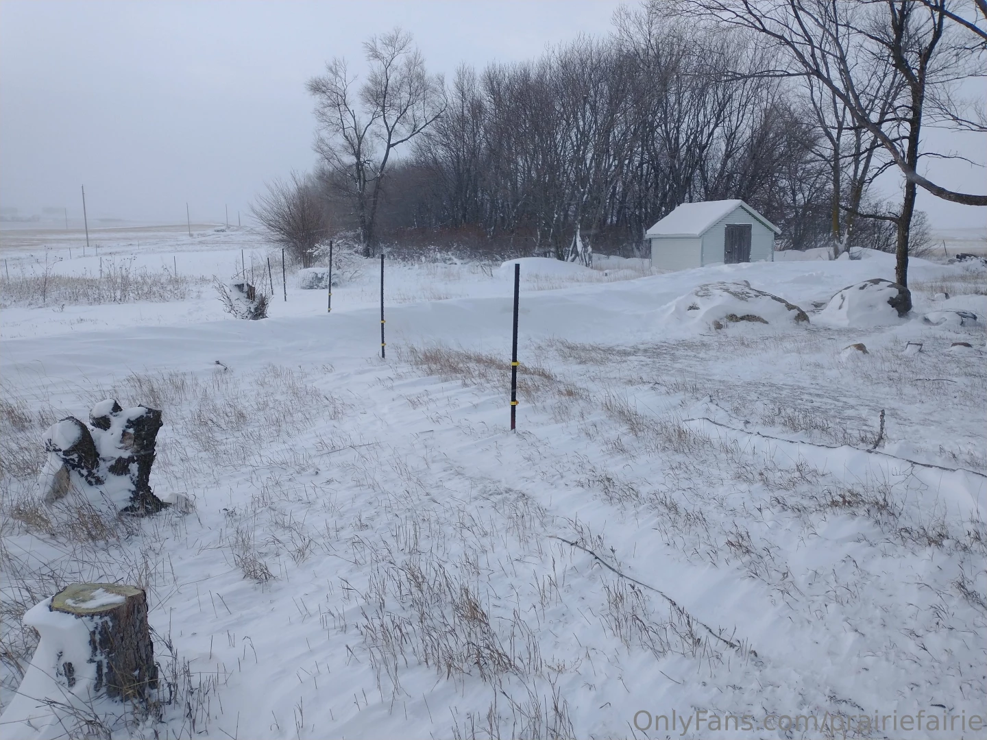 The view from my kitchen window after the latest ice snow storm rain 