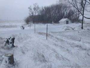 The view from my kitchen window after the latest ice snow storm rain