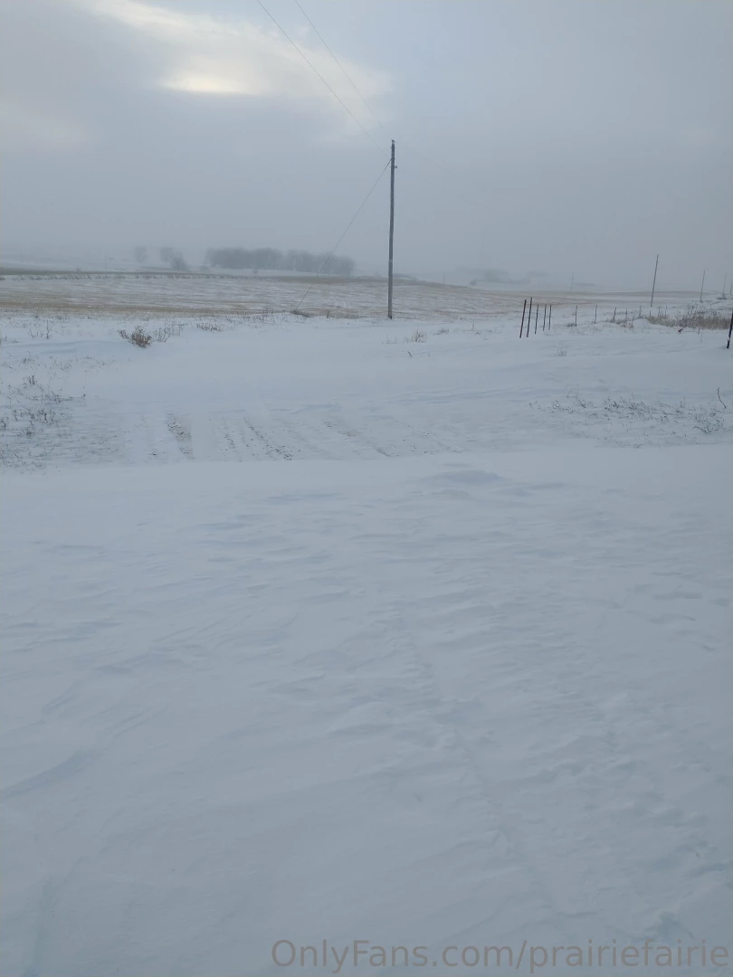 The view from my kitchen window after the latest ice snow storm rain part 2 
