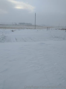 The view from my kitchen window after the latest ice snow storm rain part 2