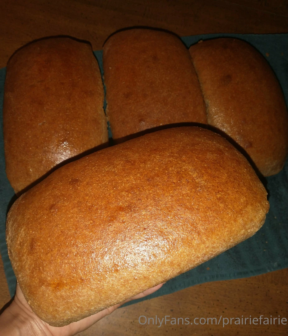 Nothing quite like fresh ground whole wheat flour turned into fresh part 3 