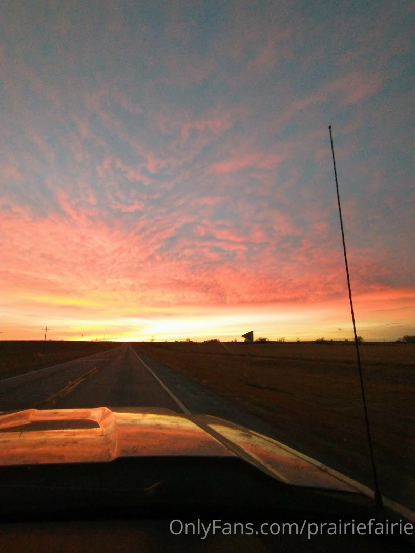 New bottle baby arrivals at the farm today stay tuned a beautiful part 5 