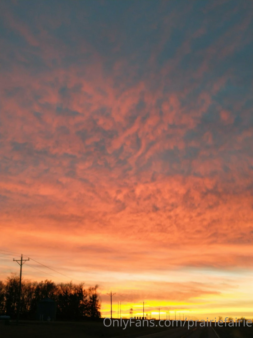 New bottle baby arrivals at the farm today stay tuned a beautiful part 4 