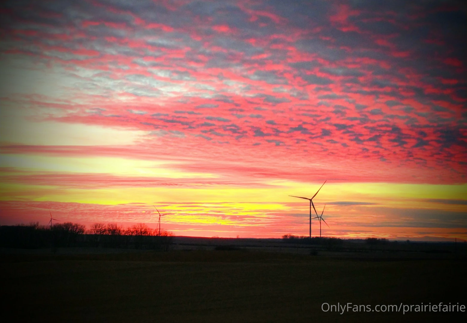 Avocado cheddar omlet for breakfast and an incredible sunset 