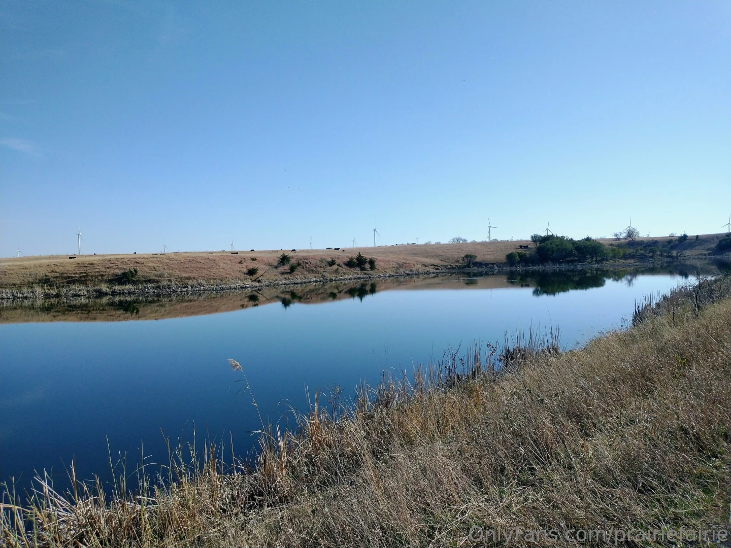 Grounding at the lake enjoying indian summer while it lasts part 3 