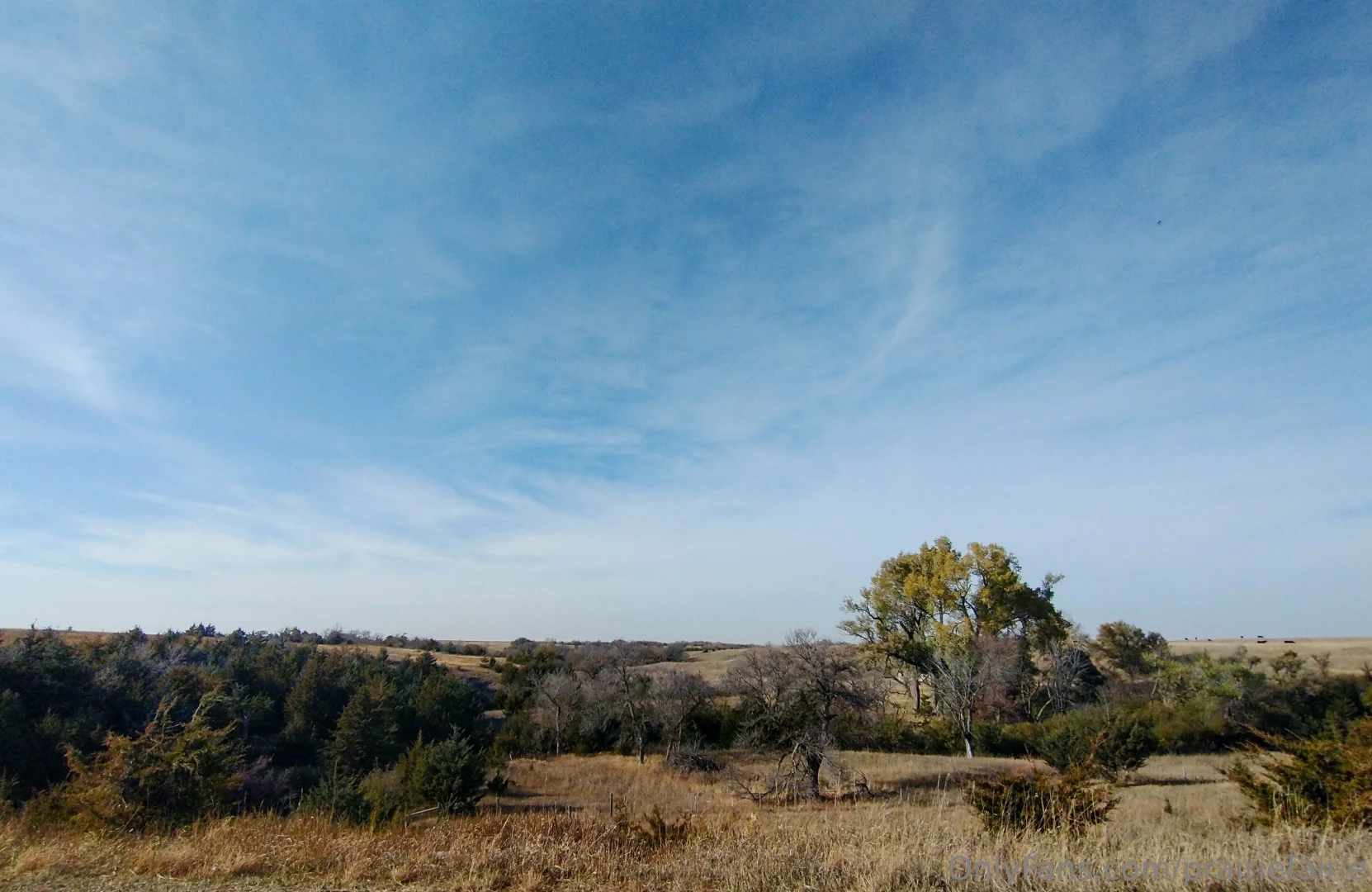 Grounding at the lake enjoying indian summer while it lasts part 5 