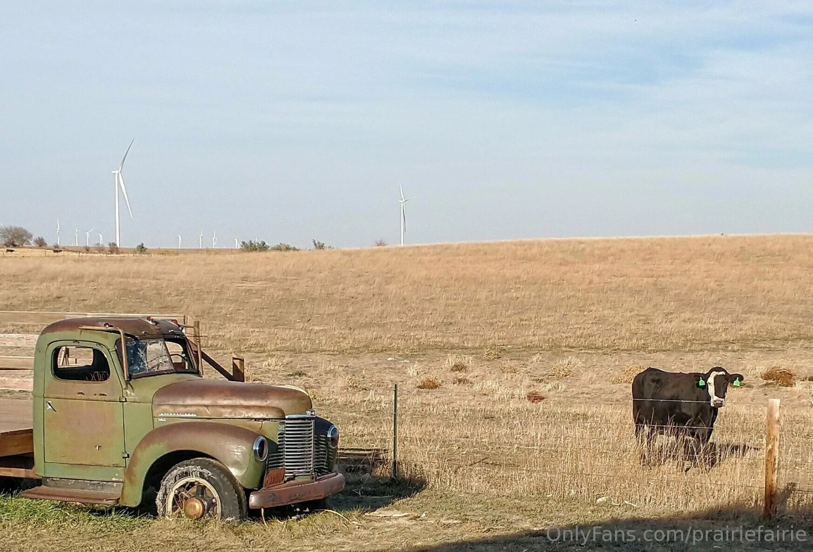 Grounding at the lake enjoying indian summer while it lasts part 4 