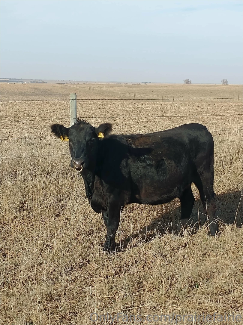 Grounding at the lake enjoying indian summer while it lasts part 6 