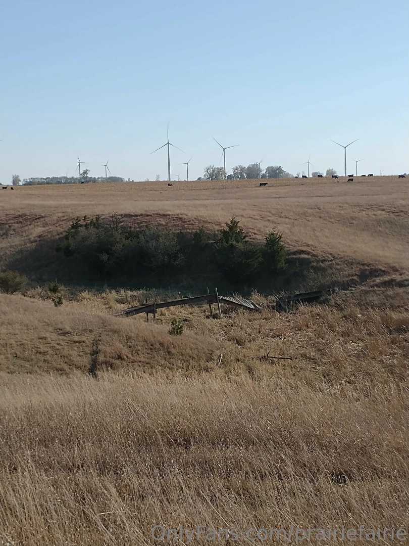 Grounding at the lake enjoying indian summer while it lasts part 2 