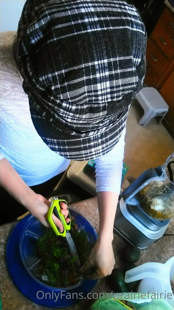 I showed my littles how to sprout carrot tops and now we have carrot part 3 