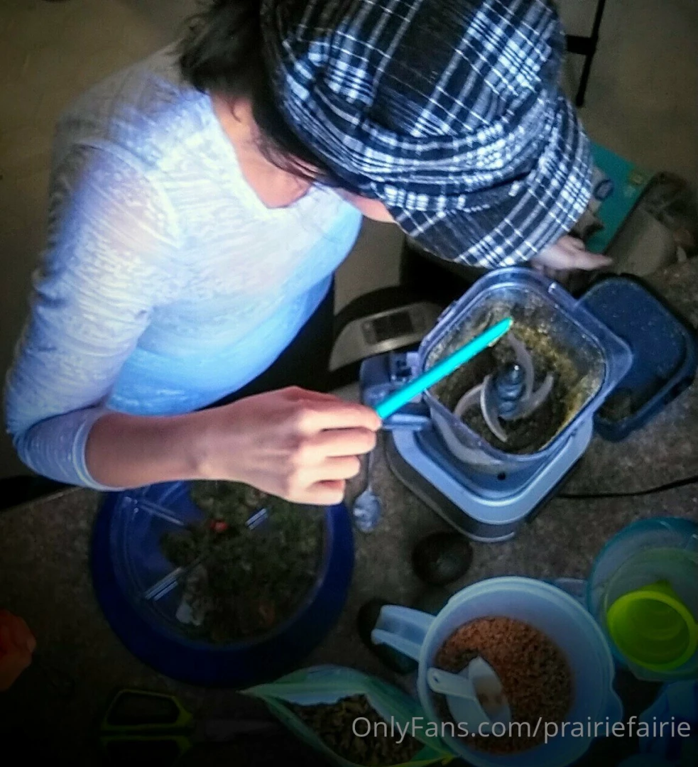 I showed my littles how to sprout carrot tops and now we have carrot part 5 