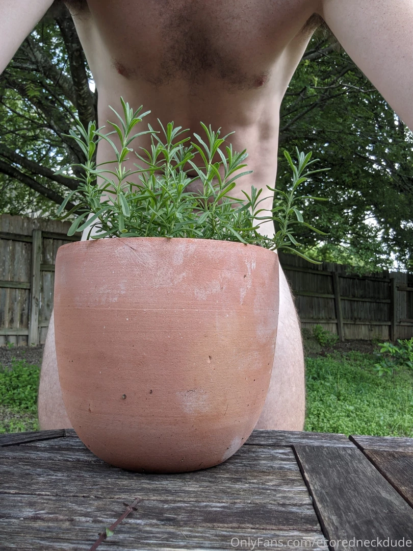 What should i post on here 