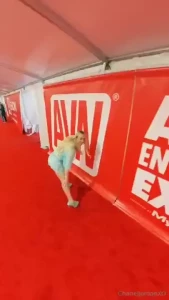 Behind the scenes at avn what do you think of my outfit
