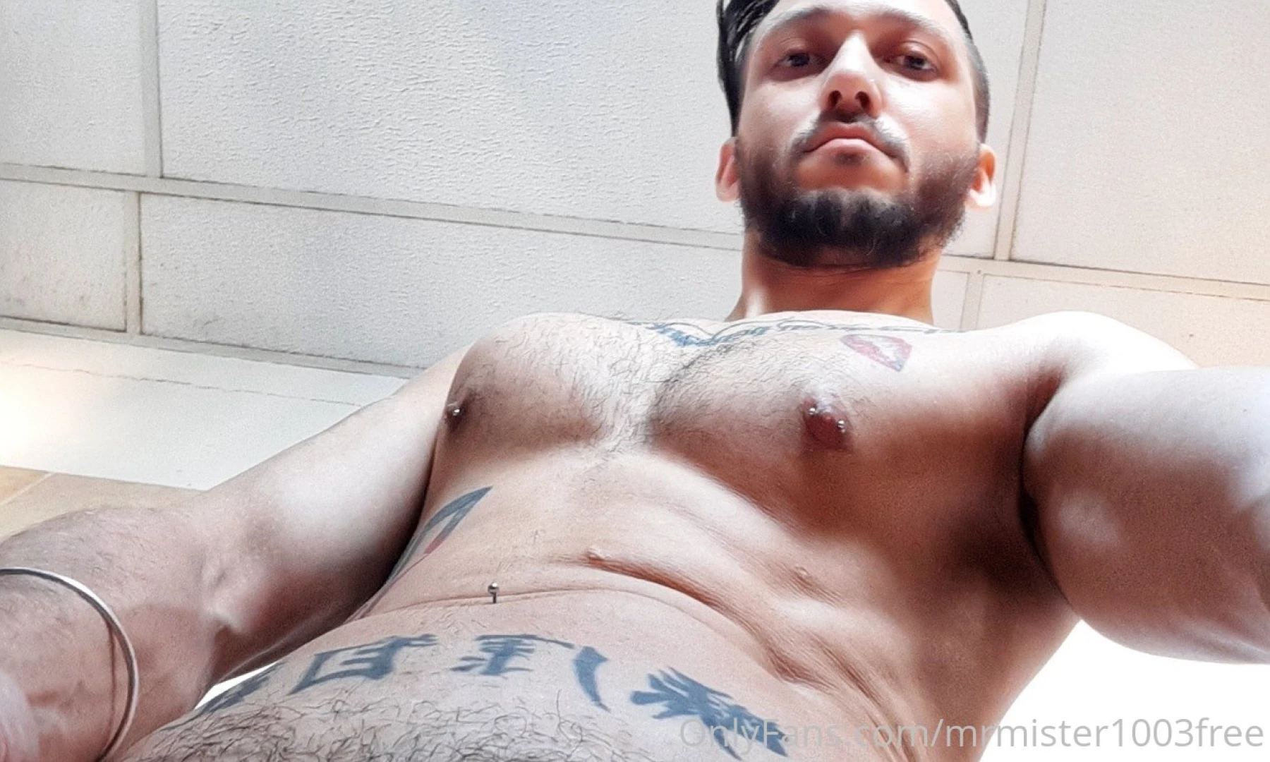 Mrmister1003free part 11 