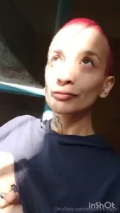 I was in the kitchen when i suddenly realized that the neighbor was