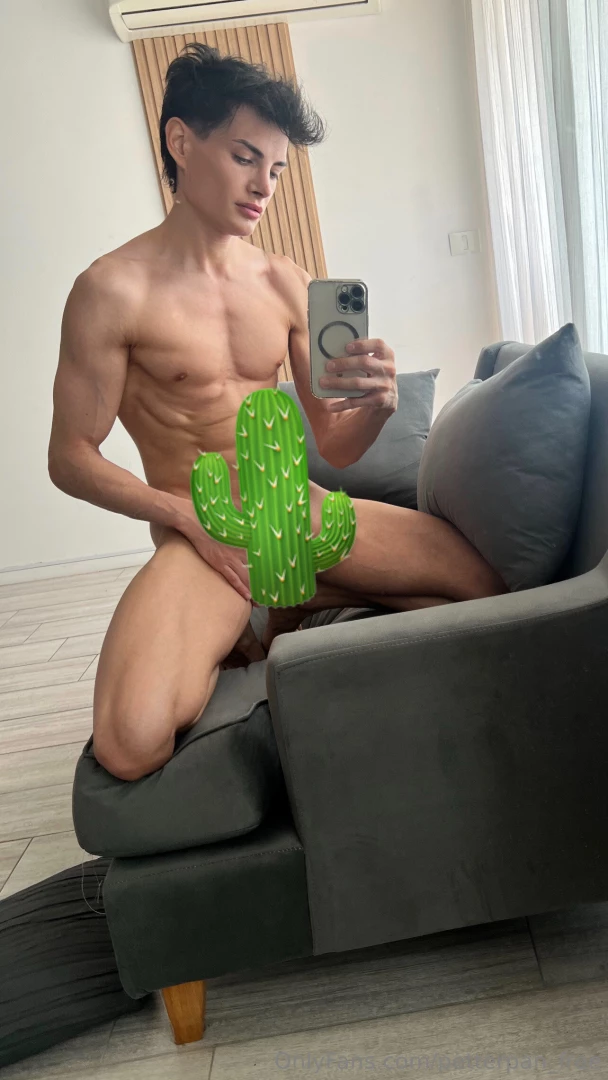 If you sit on a cactus you will get punctured but if you sit on my 