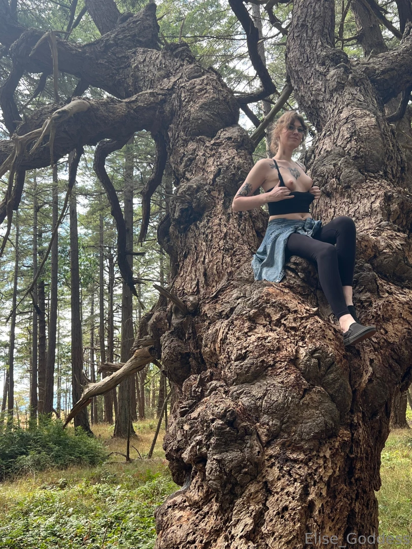 Going topless in the treetops part 1 