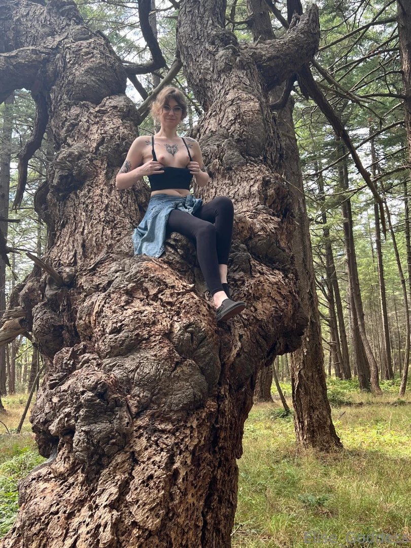 Going topless in the treetops 