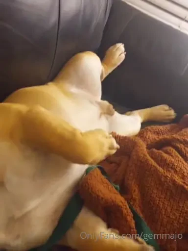 My recovery buddy he s more interested in sleeping though can t help 