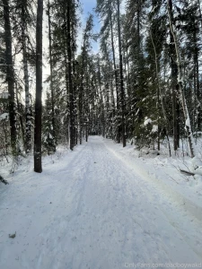 Winter just starting part 3